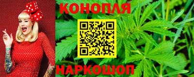 крисы Будённовск