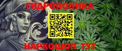 крисы Будённовск