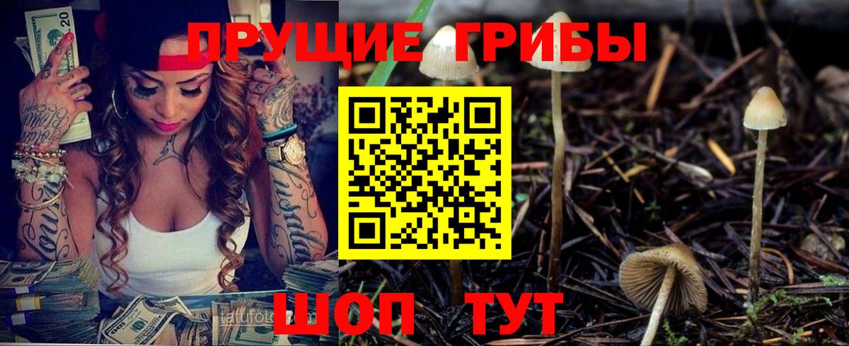 Сарапул  Галлюциногенные грибы мухоморы  Вход с VPN 